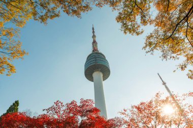 Namsan mo, Seul Kulesi ile sarı ve kırmızı sonbahar akçaağaç yaprakları