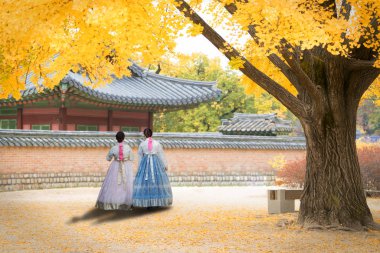 Asyalı Koreli kadın Hanbok ben yürüme geleneksel elbise giymiş.