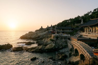Haedong Yonggungsa Tapınağı sabah Busan, Güney Kore.