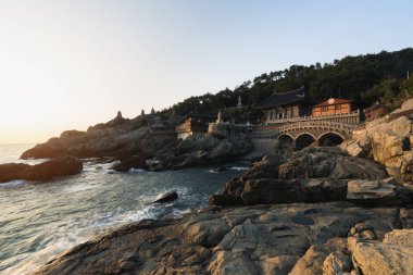 Haedong Yonggungsa Tapınağı sabah Busan, Güney Kore.