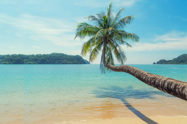 夏日沙滩上的椰子树，有清澈的海水和清澈的海水。 — 图库照片