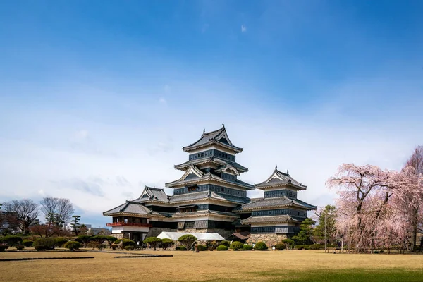 Matsumoto hrad během třešňového květu (Sakura) je jedním z měsíců — Stock fotografie