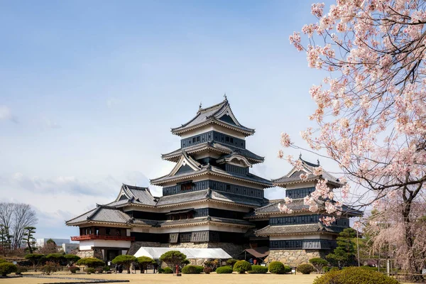 Castelo de Matsumoto durante a flor de cereja (Sakura) é um dos mo — Fotografia de Stock