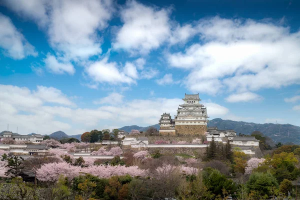 Cherry blossom flowers season during spring season with Himeji c — Stock Photo, Image