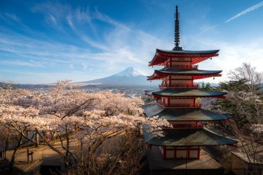 Fujiyoshida, Japonya Chureito Pagoda ve Mt. Fuji ilkbaharda