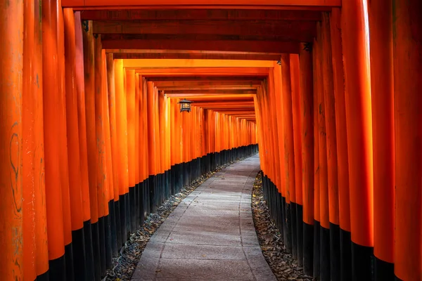 Mil portões de torii vermelhos ao longo da passarela em fushimi inari tais — Fotografia de Stock