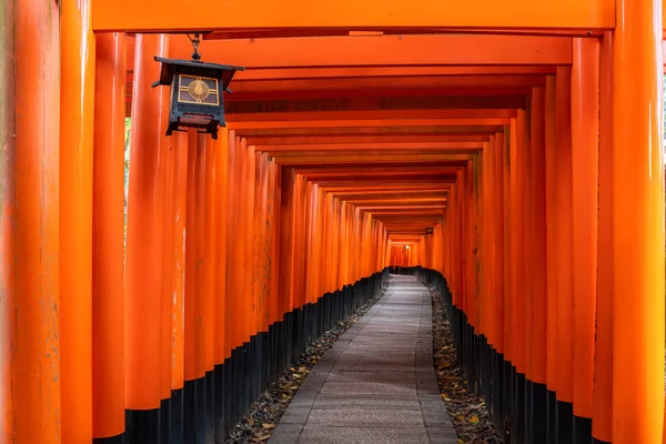 Mil portões de torii vermelhos ao longo da passarela em fushimi inari tais — Fotografia de Stock