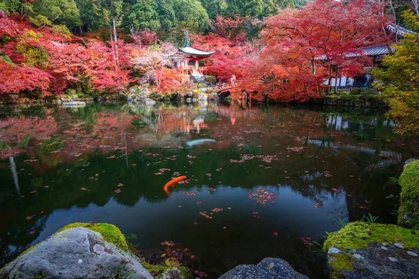 Červená Pagoda Červený Most Rybníkem Barevnými Javory Chrámu Daigoji Podzimní — Stock fotografie