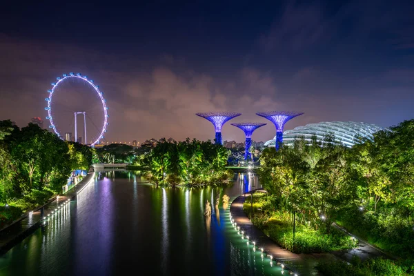 Supertree Grove Erdő Gardens Öbölben Megvilágított Singapore Szórólap Óriáskerék Éjjel — Stock Fotó