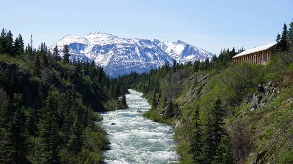 Paisagem Floresta Rio Montanhas Yukon Canadá Fronteira Com Alasca — Fotografia de Stock