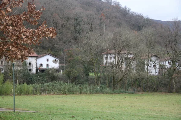 Paisaje Del Parque Nacional Bertiz Navarra España Europa —  Fotos de Stock