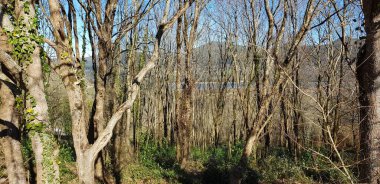 Bask ülkesinde kırsal alan