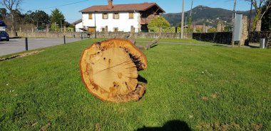 Bask ülkesinde kırsal alan