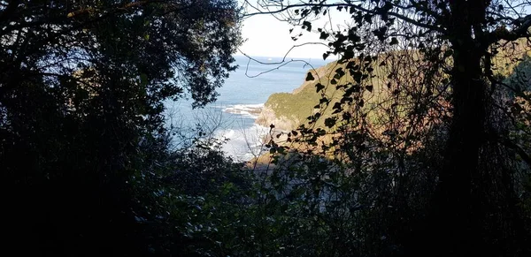 Paisaje Costa Del País Vasco España — Foto de Stock