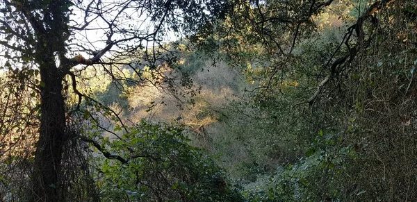 Küstenlandschaft Des Baskenlandes Spanien — Stockfoto