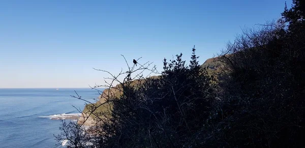 Paysage Côte Pays Basque Espagne — Photo