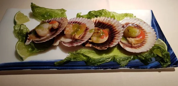 Local Scallops Називається Скалоп Решіткою — стокове фото