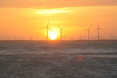 Rio Grande do Norte Brezilya 'daki Galinhos yarımadasında gün batımı manzarası
