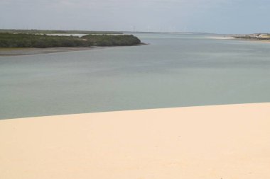 Rio Grande do Norte Brazil 'deki Galinhos plaj manzarası