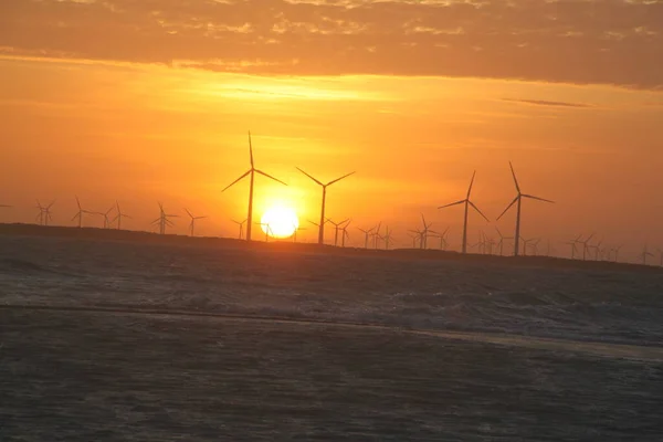 Rio Grande do Norte Brazil 'deki Galinhos yarımadasında arka planda elektrik üretmek için yel değirmenleriyle gün batımı manzarası