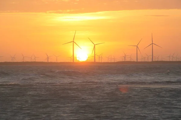 Rio Grande do Norte Brezilya 'daki Galinhos yarımadasında gün batımı manzarası