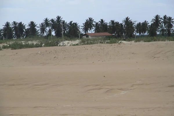 Strand Van Galinhos Rio Grande Norte Brazilië — Stockfoto