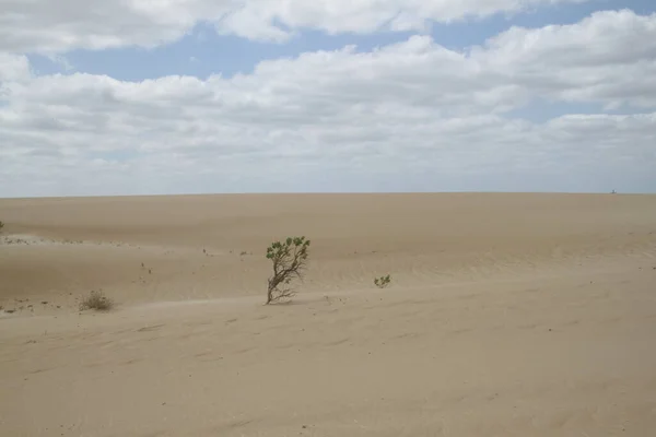 Τοπίο Των Αμμόλοφων Galinhos Στο Rio Grande Norte Της Βραζιλίας — Φωτογραφία Αρχείου