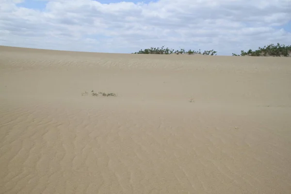 Paysage Des Dunes Galinhos Rio Grande Norte Brésil — Photo