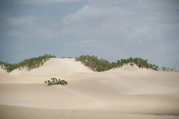 Paisagem Das Dunas Galinhos Rio Grande Norte Brasil — Fotografia de Stock