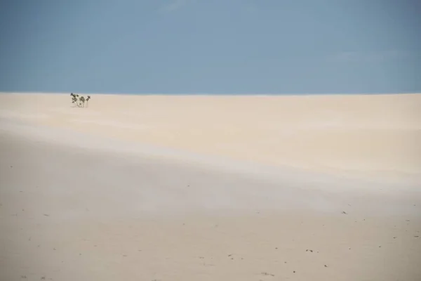 Landskap Galinhos Sanddyner Rio Grande Norte Brasilien — Stockfoto