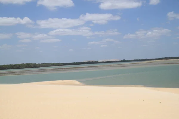 巴西北部格兰德河的Galinhos海滩景观 免版税图库照片