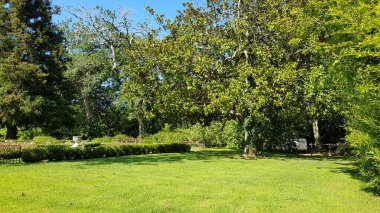 Aquitaine Fransa 'daki Atelier bahçesinin çimen ve ağaçlarının manzarası