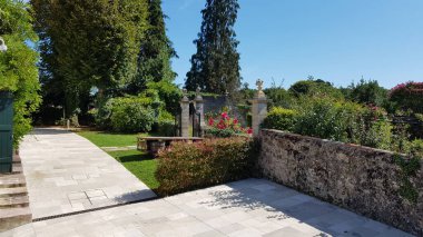 Güzel botanik fotoğrafı, doğal duvar kağıdı.