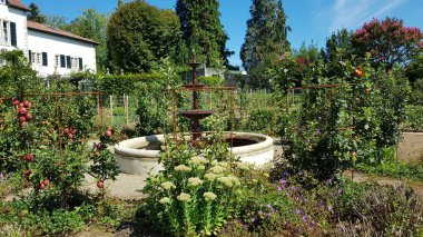 Parktaki güzel çiçekler.