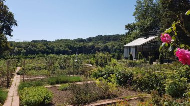 view of beautiful garden. nature