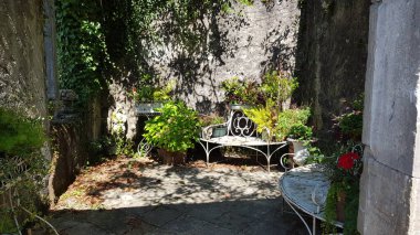 old wooden bench and a park with a tree