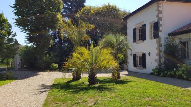 a view of a modern hotel with a green plant.