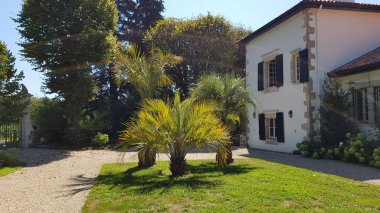 luxury beautiful botanical shot, natural wallpaper