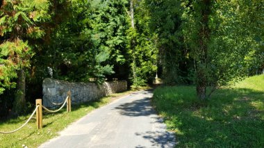 a path in the park in the countryside