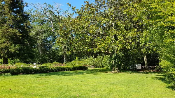 Aquitaine Fransa 'daki Atelier bahçesinin çimen ve ağaçlarının manzarası
