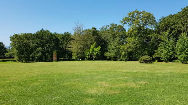 Aquitaine Fransa 'daki Atelier bahçesinin çimen ve ağaçlarının manzarası