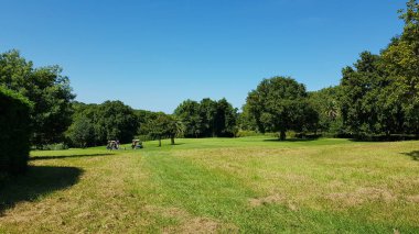 Aquitaine, Fransa 'da bir golf sahası manzarası