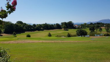 Aquitaine, Fransa 'da bir golf sahası manzarası