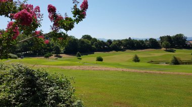 Aquitaine, Fransa 'da bir golf sahası manzarası