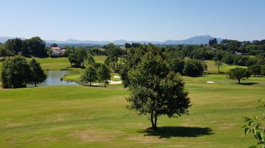 Fransa, Aquitaine 'de bir golf sahasının manzarası güneşli bir gün.