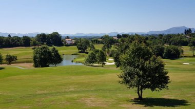 Fransa, Aquitaine 'de bir golf sahasının manzarası güneşli bir gün.