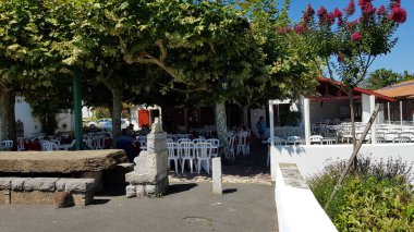 Renkli bahar çiçekleri arka planı