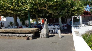 Renkli bahar çiçekleri arka planı