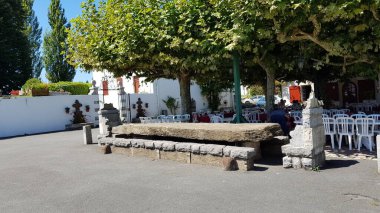 Renkli bahar çiçekleri arka planı