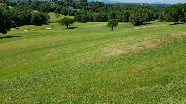 Fransa, Aquitaine 'de bir golf sahasının manzarası güneşli bir gün.